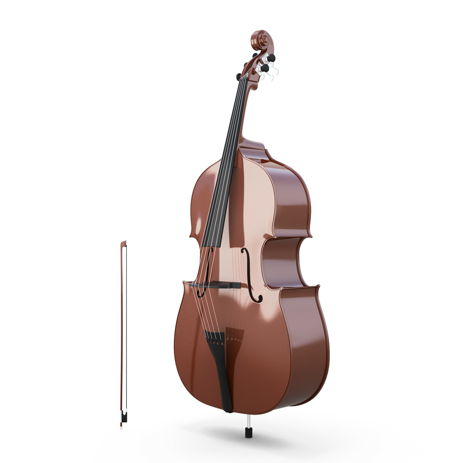 Contrabass, double bass